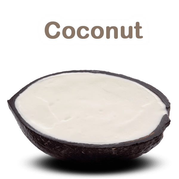 Coconut Sorbet