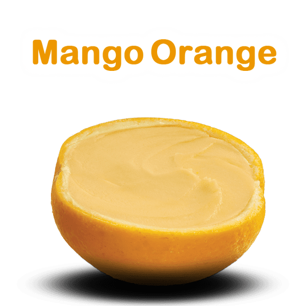 Mango Orange Sorbet